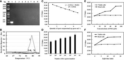 The calcium cyanamide and polyethylene blocks the secondary transmission and infection of vegetable leaf diseases